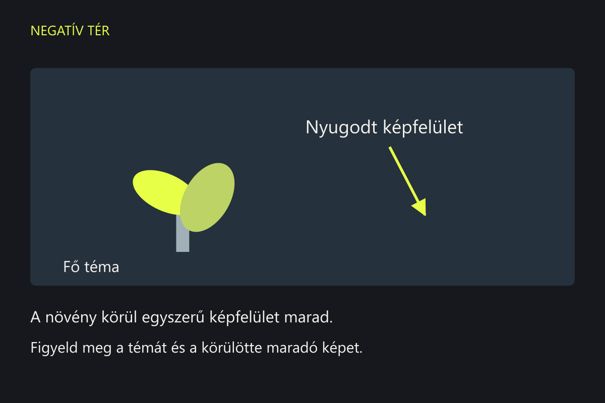Azonos helyű és méretű növény egyszerű sötét háttér előtt, majd sok téglalappal és vonallal kitöltött háttér előtt.